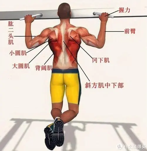 会平园林绿化工程